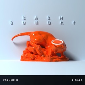 Free Game Freestyle (feat. Drew) SASH