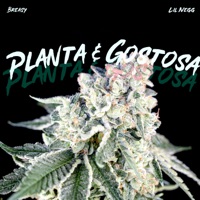 Planta & Gostosa (feat. Lil Negg) - Single - Breasy, ENVYFEEDSEGO & Prodbygrillo