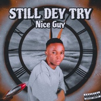 Still Dey Try - Single - Nice Guy