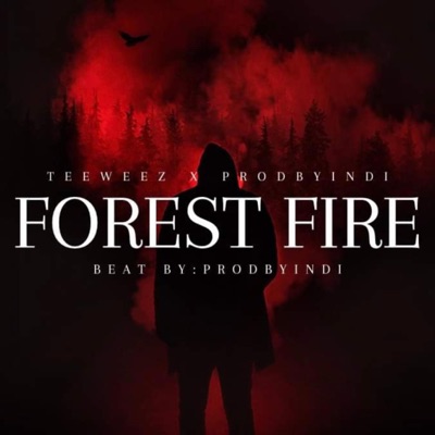 Forest Fire (feat. TeeWeez) - Single