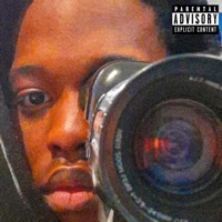 WES ANDERSON - Single - Shoka Sunflower