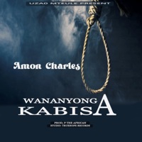 Wananyonga Kabisa - Single - Amon Charles