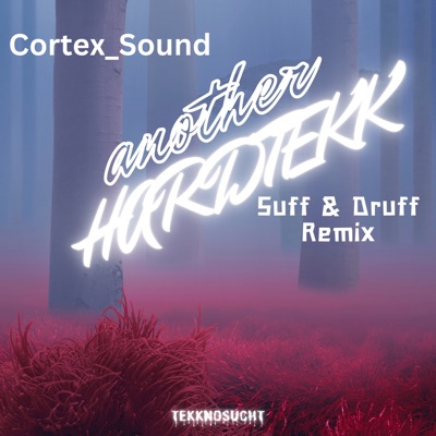 Another Hardtekk (Remix) - Single