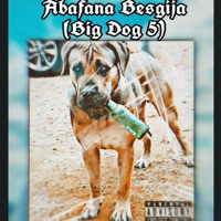 Abafana besgija (BigDog 5) - Single - Lanokies & Vibekulture Sa