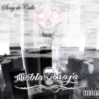 SONG DE CALLE - Niebla Baja