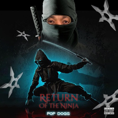 Return of the Ninja