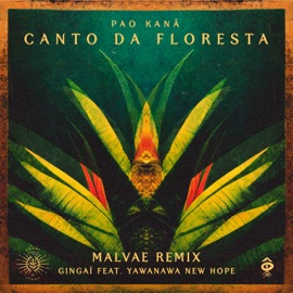 Pão Kanã - Canto da Floresta (feat. Yawanawa New Hope) [Remix] Gingaí & Malvae