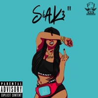 Shake (Radio Edit) - Single - Maine Laveau