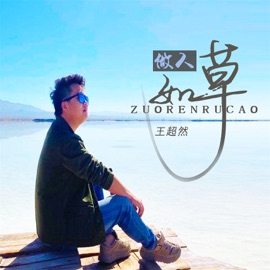 做人如草 (DJ默涵版) 王超然