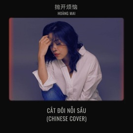 Cắt Đôi Nỗi Sầu (Chinese Cover) Hoang Mai
