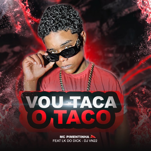 Vou Taca o Taco (feat. MC LK DO DICK & Dj Vn 22)