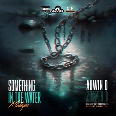 Something In the Water Mixtape Hosted By Flexx Live