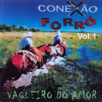 Conexão Forró - Sem Mim (Without You)