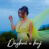 Dashni e huj - Single