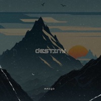 Destiny - Single - Amigo