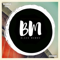 Zenawi - Single - George Toro