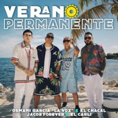 Verano Permanente (feat. El Carli & DJ Conds) artwork