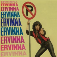 Udang Dibalik Batu - Single - Ervinna