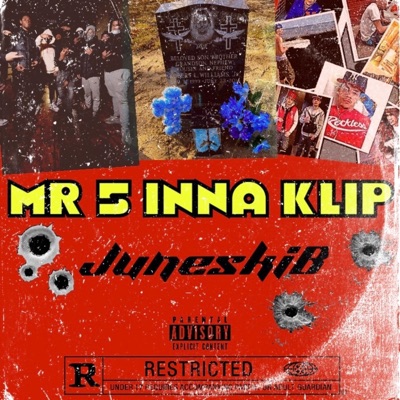 Mr 5 Inna Klip - EP