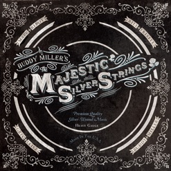 THE MAJESTIC SILVER STRINGS cover art