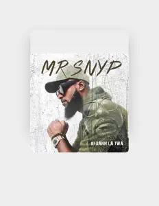 Mr Snypを聴いたり、ミュージックビデオを鑑賞したり、経歴やツアー日程などを確認したりしましょう！
