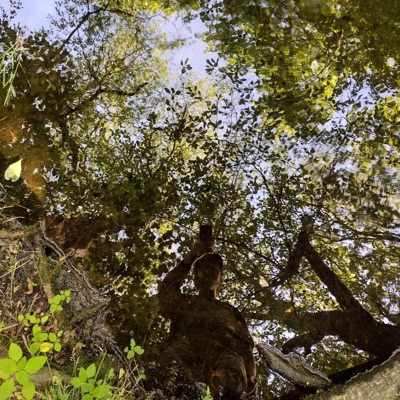 What Is, The Face Value ((Instrumental)) - Single