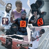 PDS (feat. 2ICE & YOUNGHATTI) artwork