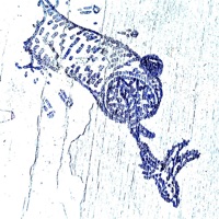 Alien Invasion - Single - Aus