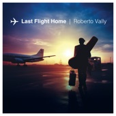 Last Flight Home artwork