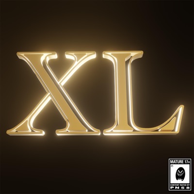 XL (feat. Saint G, Roka$$ Flow, Bidi 63 & M0!M0) - Single