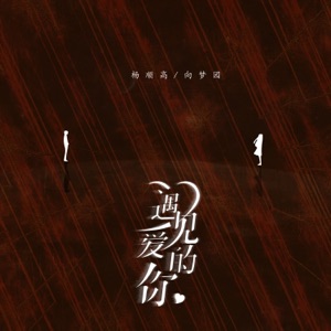 遇见爱的你 - Single