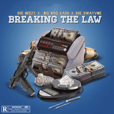 Breaking the Law (feat. Swayvoe & Big Bagg ka$h) - Single