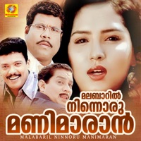 Malabaril Ninnoru Manimaran (Original Motion Picture Soundtrack) - EP - Raja mani & Gireesh Puthanchery