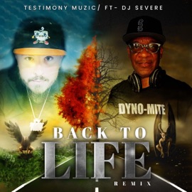 Back to Life (feat. DJ severe) Testimony