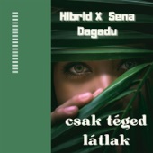 Csak Téged Látlak (feat. Sena Dagadu) artwork