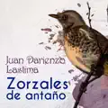Nosotros