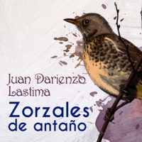 Zorzales de Antaño - Juan Darienzo - Lástima - Orquesta de Juan D'Arienzo & Jorge Valdez