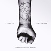 Trentemoller Surrender (Trentemøller Remix) Surrender (Trentemøller Remix) - Single
