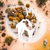 Ulalala - Single