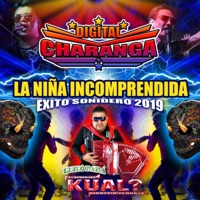 Niña Incomprendida - Single - Digital Charanga & Grupo Kual?