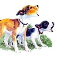 Kinfolk - Single - Von Storm