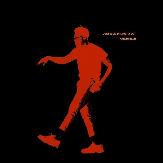 LIL Bit — release artwork