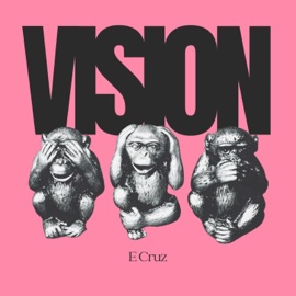 Vision E Cruz