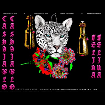 FELINA (feat. MALA SANTA) - Single