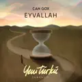 Eyvallah