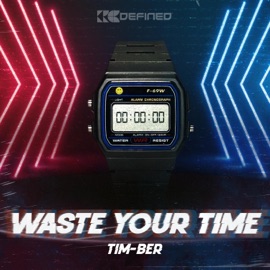 Waste Your Time (Radio Edit) Tim-Ber