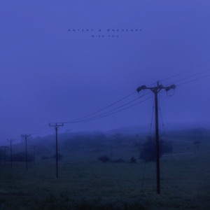 Miss You - Single