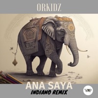 Ana Saya (Indiano Remix) - Single - Orkidz & CamelVIP