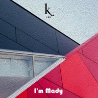 Schwinger - Single - I'm Mady