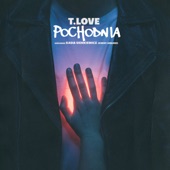 Pochodnia artwork